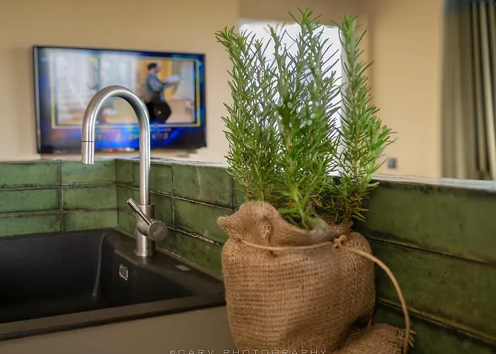 My Cool House Villa *