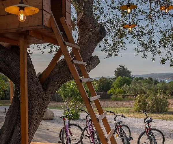 My Cool House Villa *