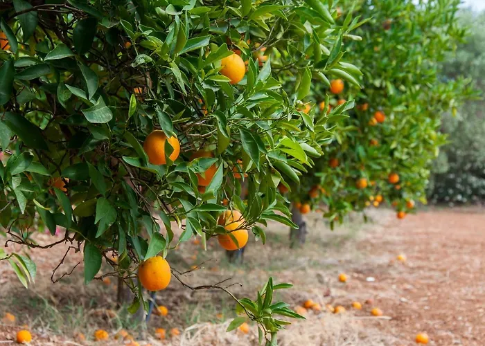 Villa My Cool House *