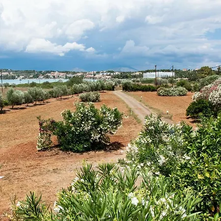 My Cool House * 포르토헬리